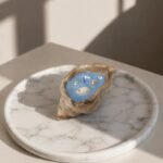 sea shell ocean candle artistic