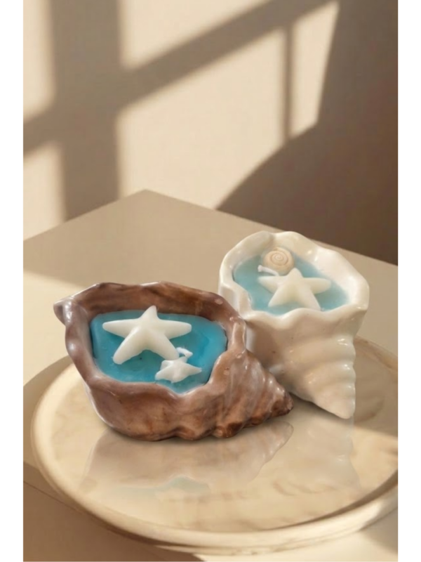 sea shell ocean candle set of 2
